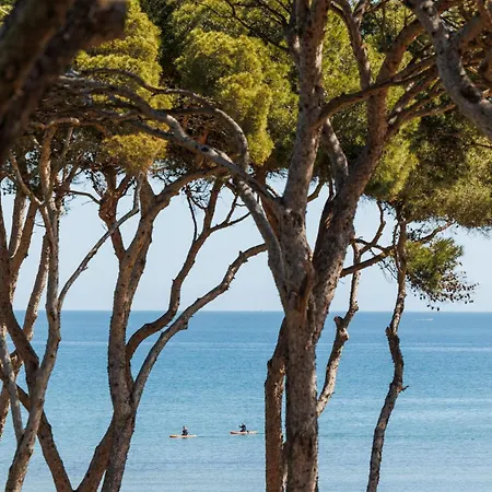 Le Domaine De La Mer - Appartements De Plage Dans Un Cadre Enchanteur Lejlighed Hyères