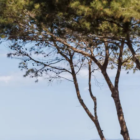 Le Domaine De La - De Dans Un Cadre Enchanteur