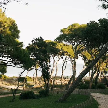 Domaine De La - Les Pieds Dans L'eau Hyères